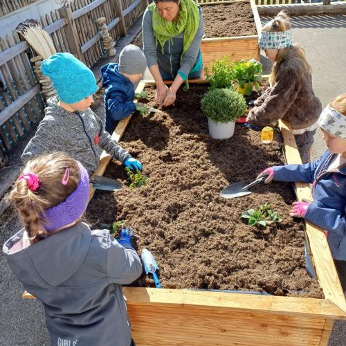 Bepflanzen der Hochbeete durch Schulkinder