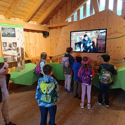 Schülerinnen und Schüler betrachten einen Fernseher in einer Hütte