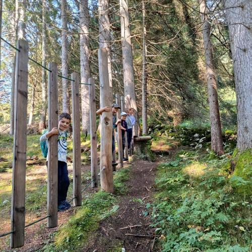 Kinder stehen auf einen Klettergerüst eines Waldspielplatzes