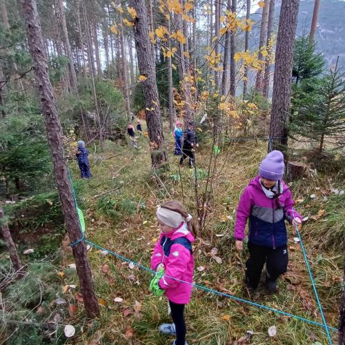 Kinder im Tastparcours