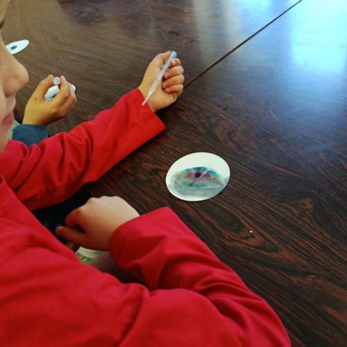 Schülerin sitzt am Tisch vor einem runden Kaffeefilter, auf dem bunt Farben zu sehen sind