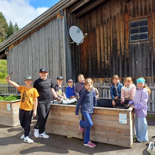Kinder stehen um Hochbeet