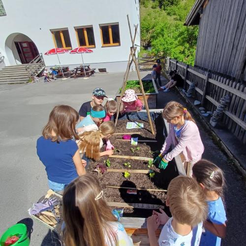Kinder stehen um Hochbeet
