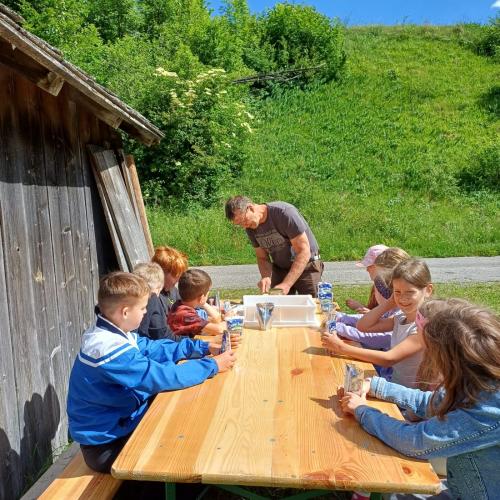 Kinder beim Bienenvortrag