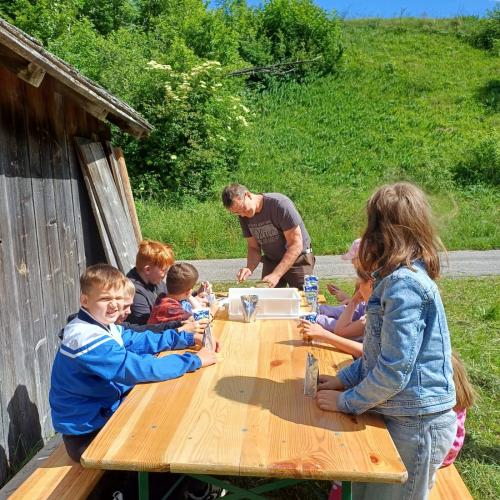 Kinder beim Bienenvortrag