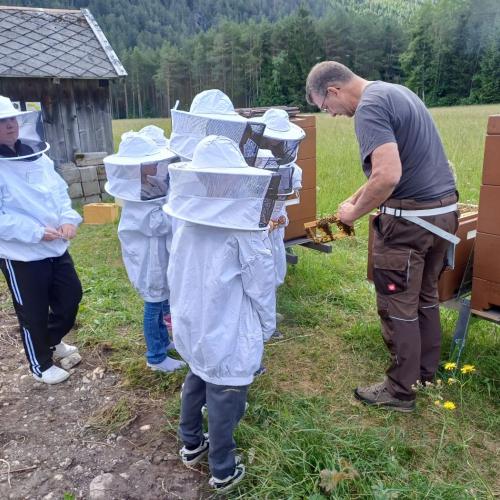 Kinder beim Bienenvortrag