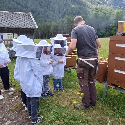 Kinder beim Bienenvortrag