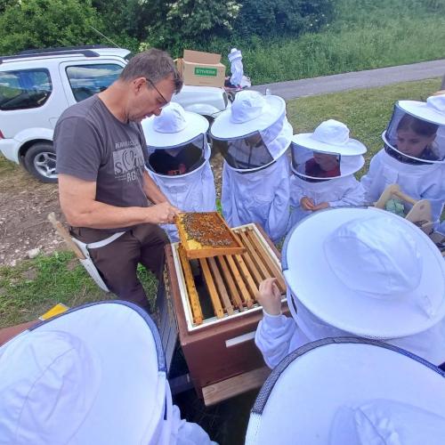 Kinder beim Bienenvortrag