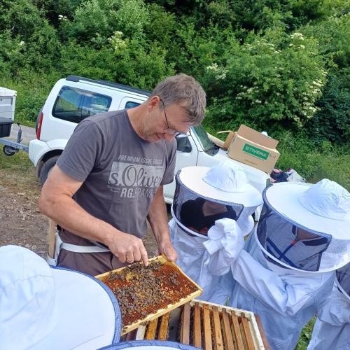 Kinder beim Bienenvortrag