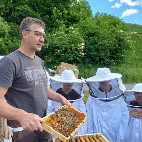 Kinder beim Bienenvortrag