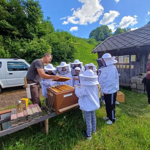 Kinder beim Bienenvortrag