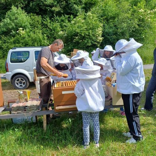 Kinder beim Bienenvortrag