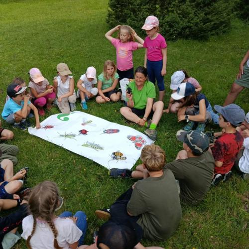 Kinder sitzen im Kreis, Naturführerin in Mitte mit Plakat mit Insekten