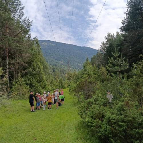 Gruppe von Kindern in der Ferne, auf Wiese, umgeben von Wald