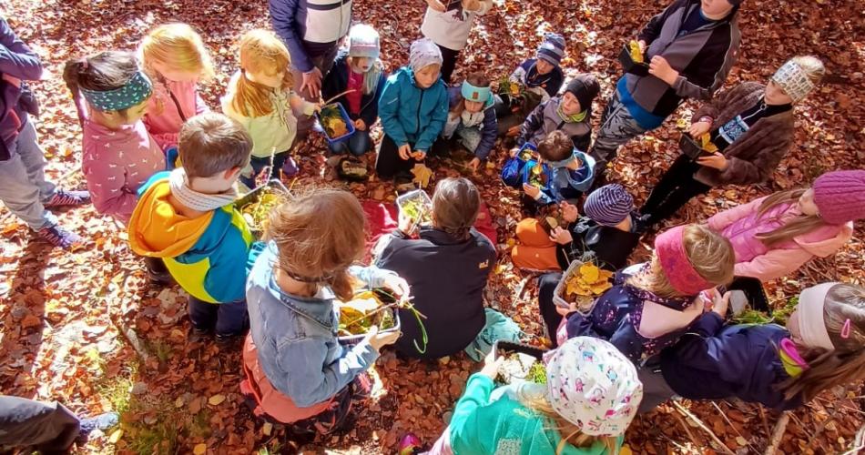 Gruppe von Schülern steht mit Naturführern im Herbstwald.