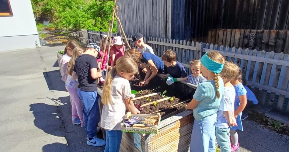 Kinder arbeiten im Hochbeet bzw stehen drumherum